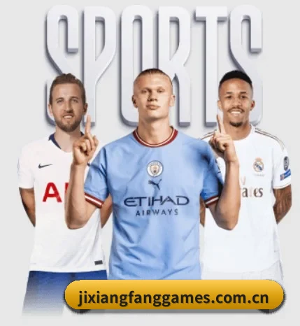 吉祥坊游戏官网围绕看球场景设计的核心服务